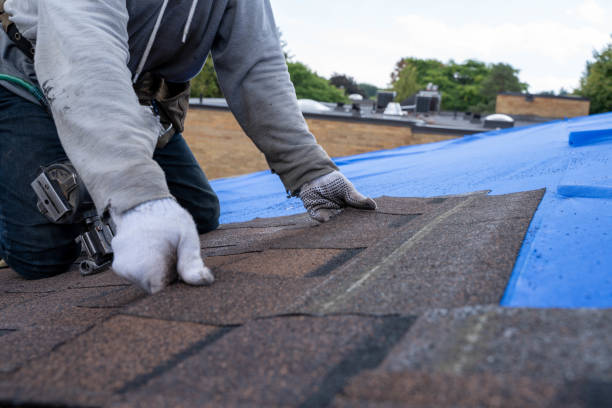 Best New Roof Installation  in Cedar City, UT